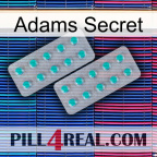 Adams Secret 29